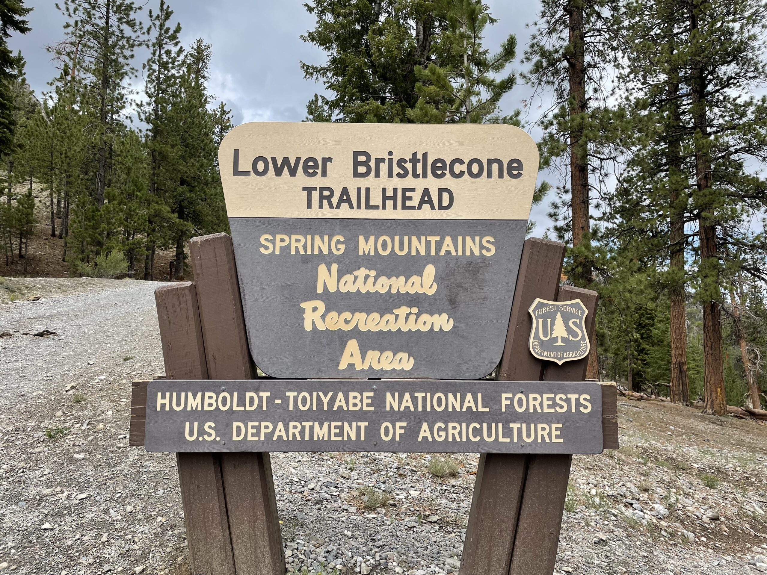 Bristlecone Trail in the Spring Mountains